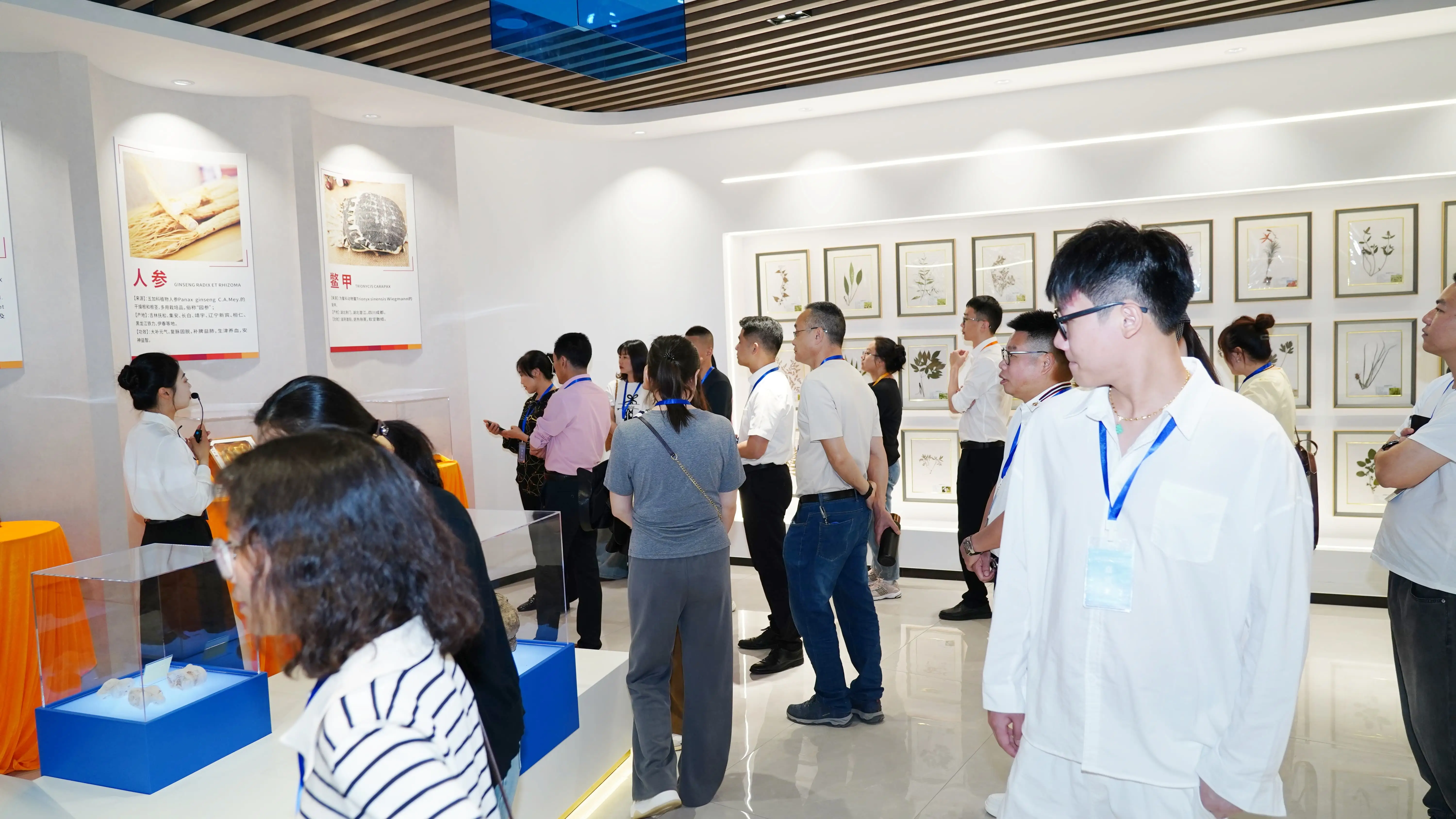 内科专科岗位_内科专科是什么_内科专科检查包括什么