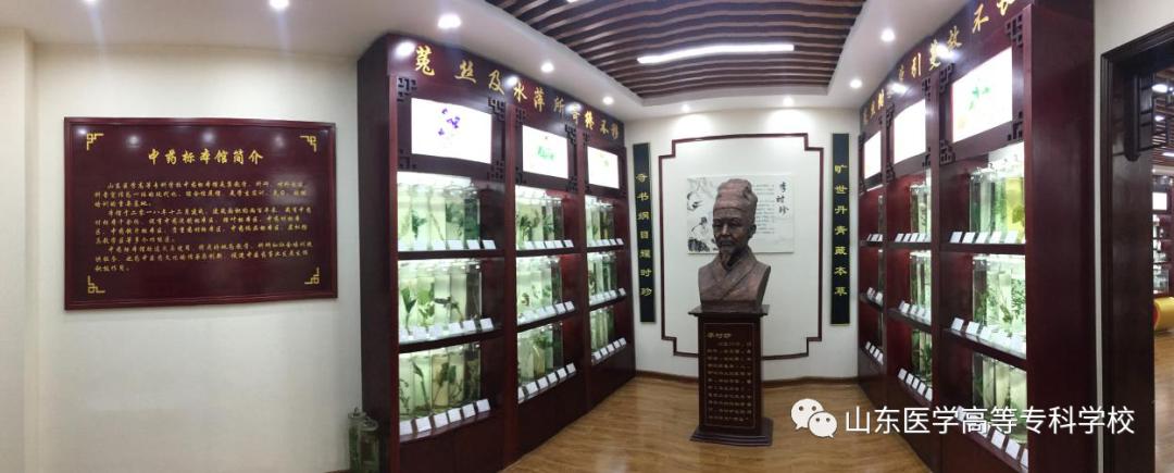 专科岗位内科工作总结_内科专科检查包括什么_内科专科岗位