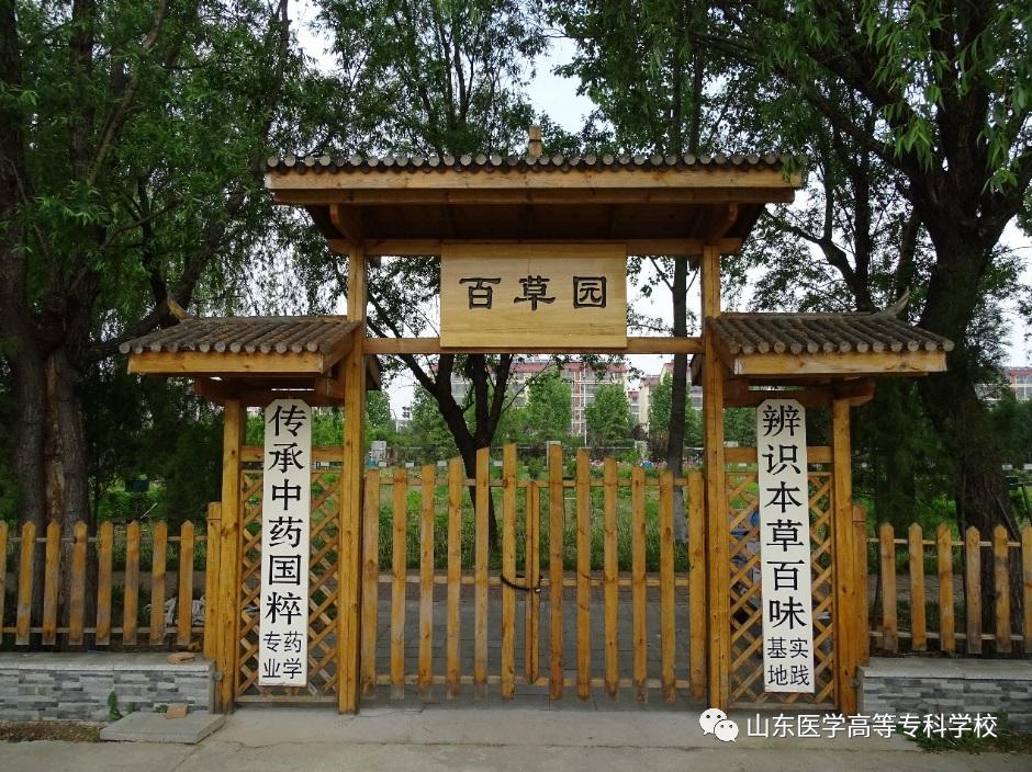 内科专科检查包括什么_专科岗位内科工作总结_内科专科岗位