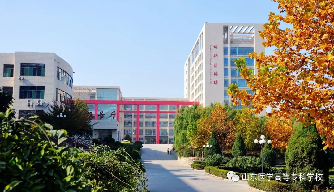 内科专科检查包括什么_内科专科岗位_专科岗位内科工作总结