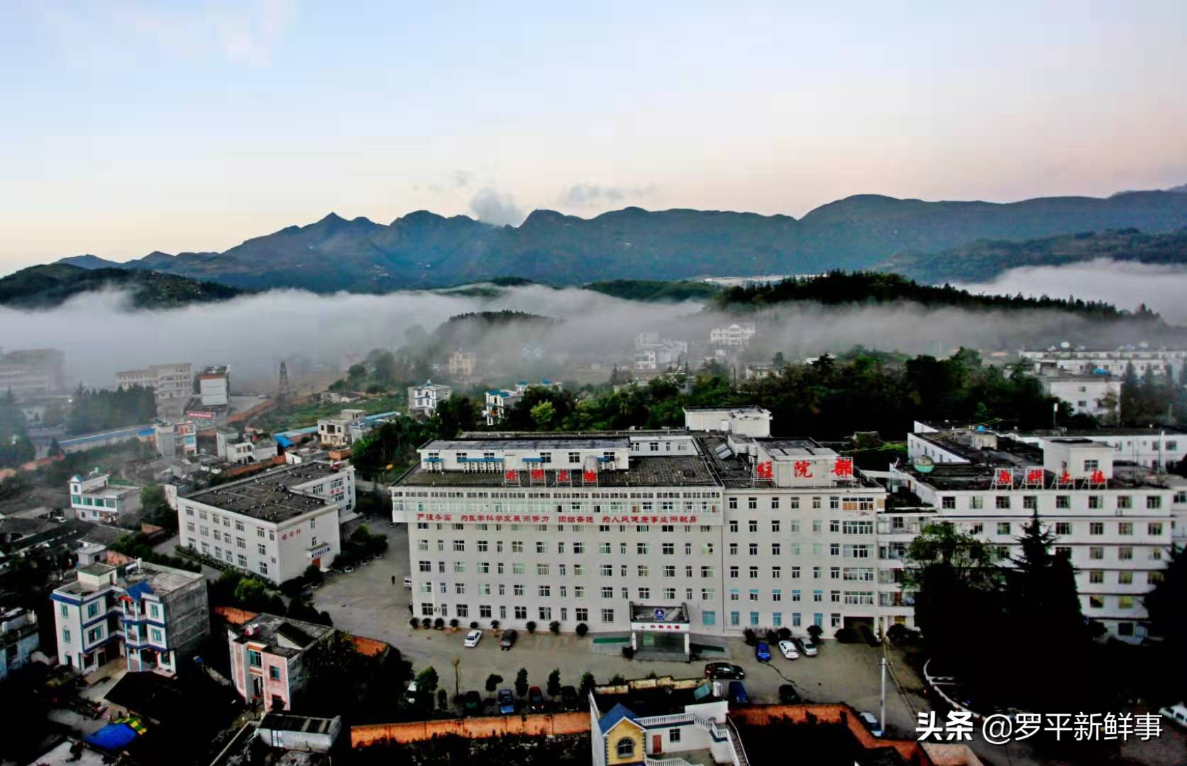 内科执业医师招聘信息_内科执业医师招聘_内科执业医师招聘网最新招聘